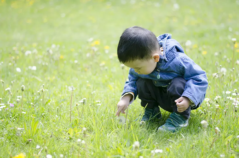 image webpart