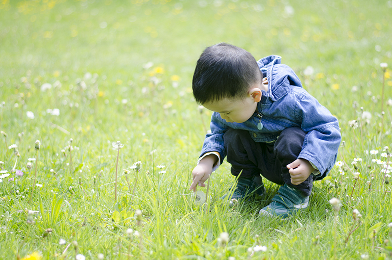 501058072_developing_a_good_learner_and_thinker