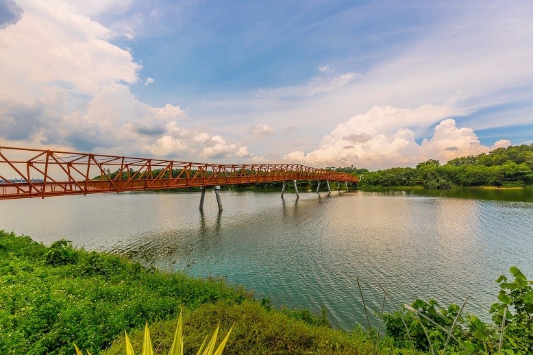 Lorong Halus Wetland