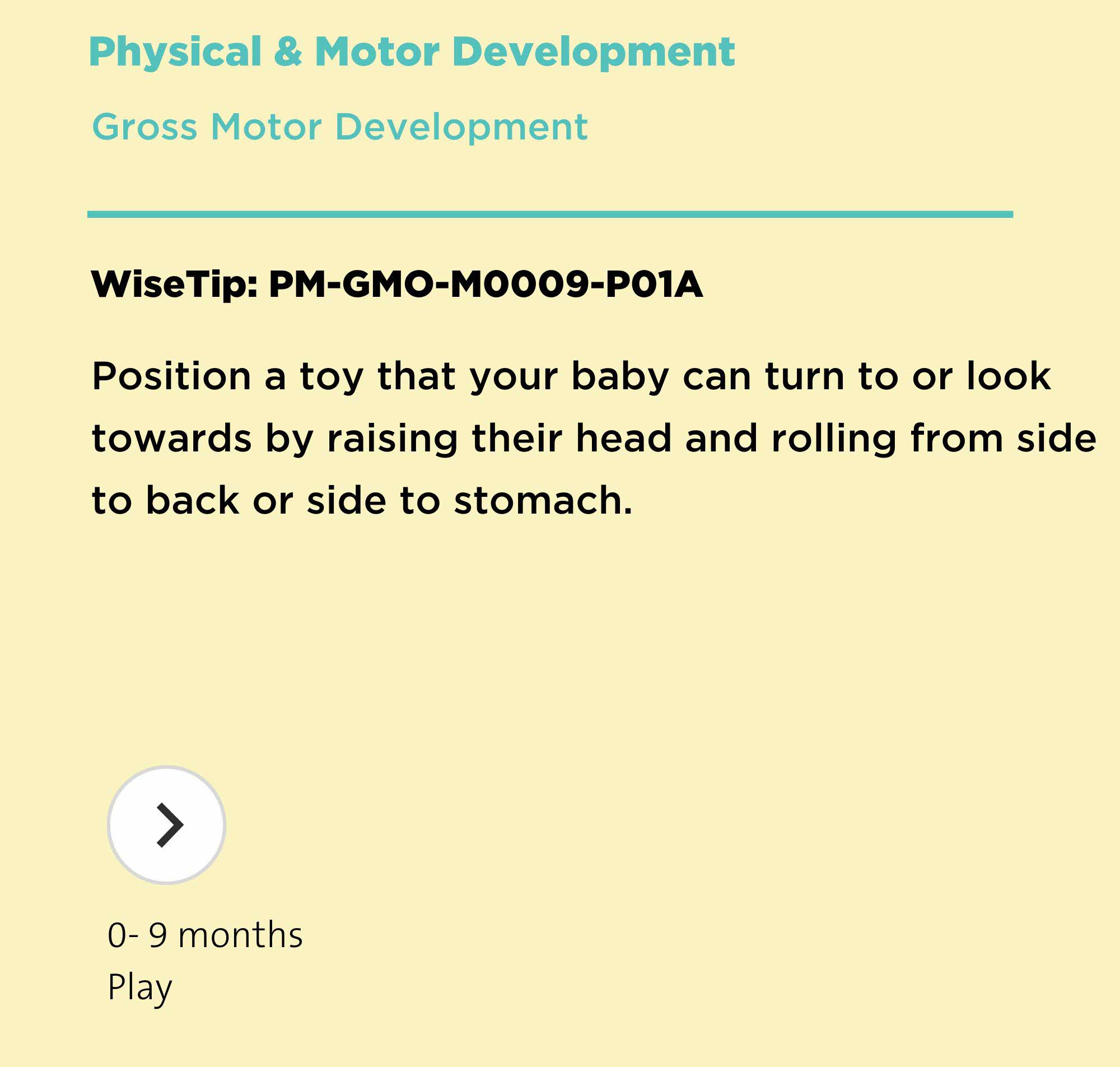 Wisetip twenty eight point two