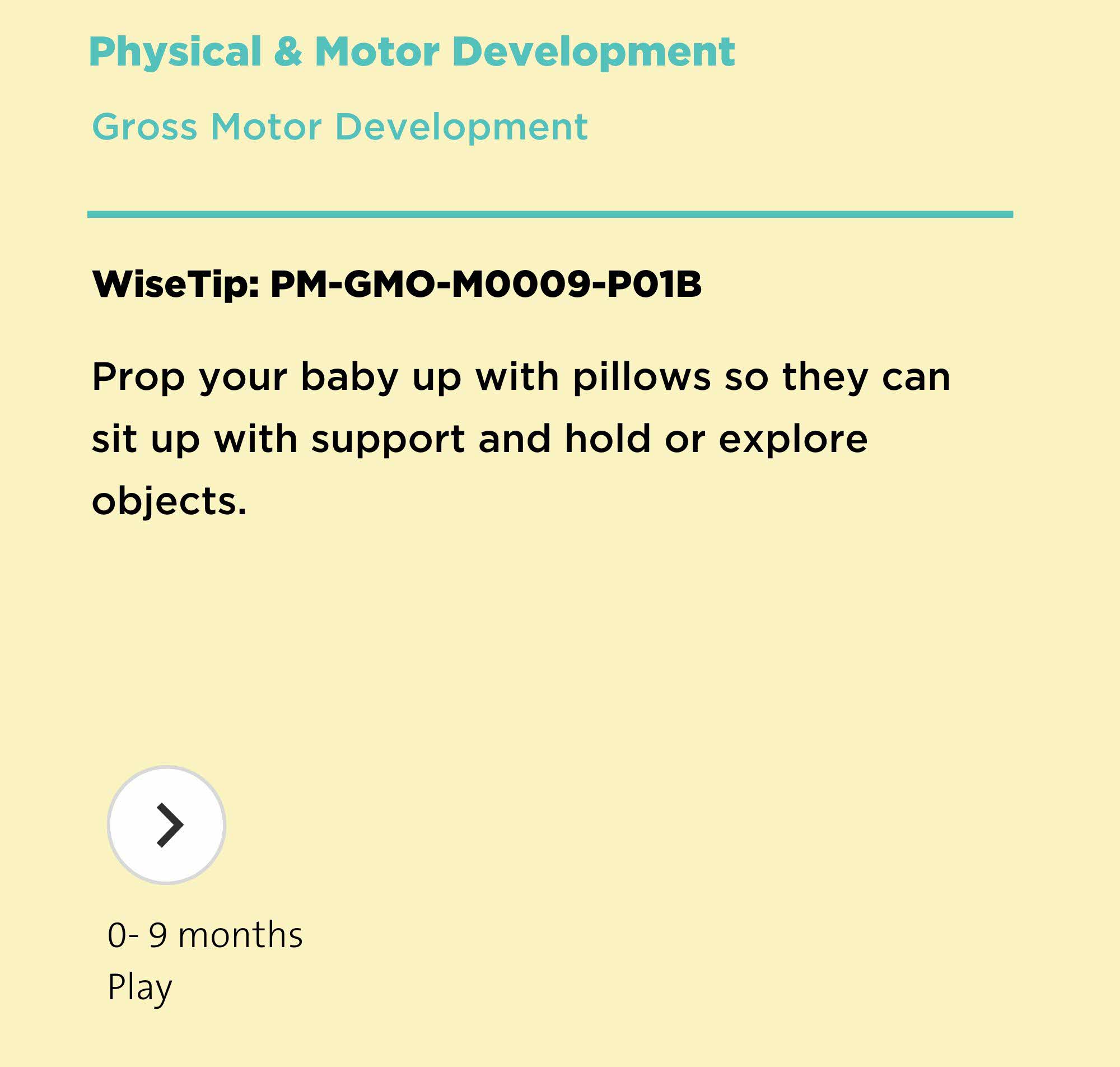 Wisetip twenty eight point three