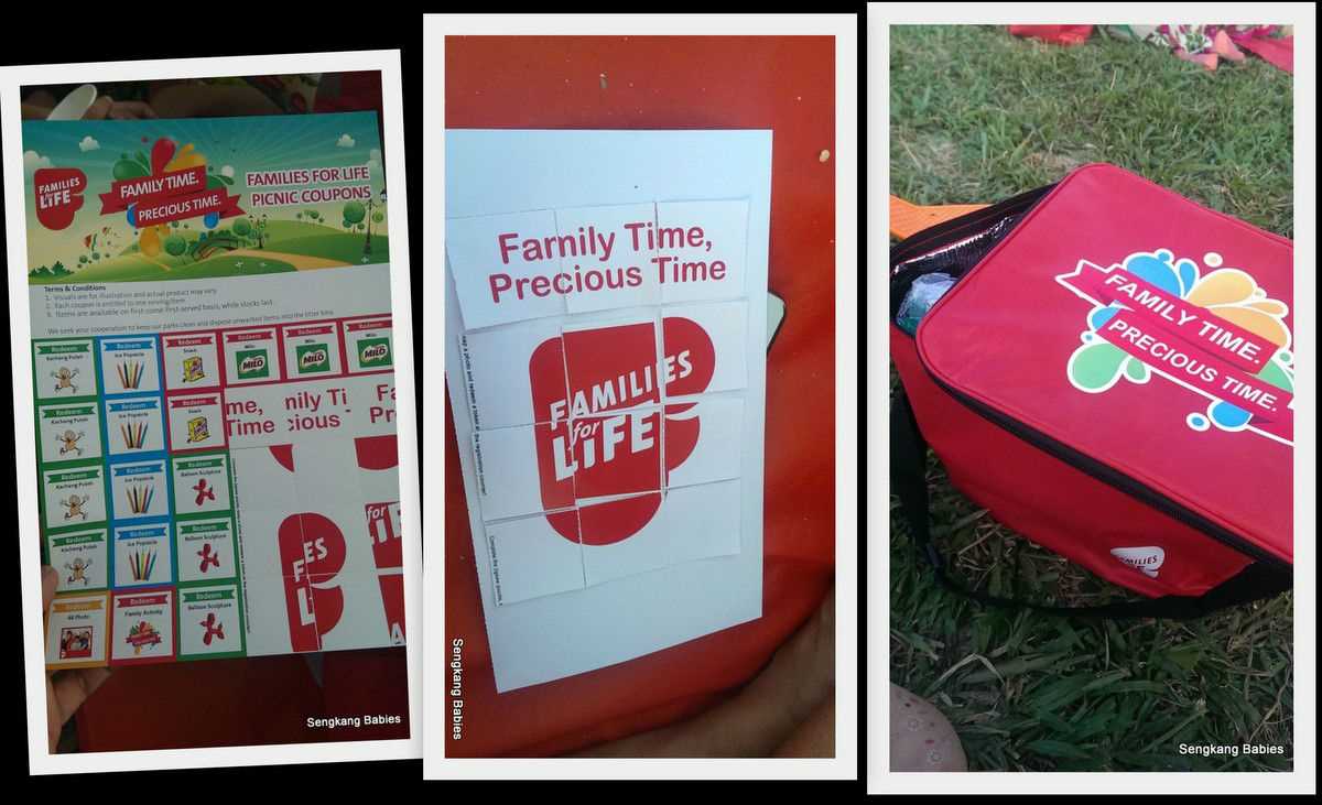 FFL Picnic goodies