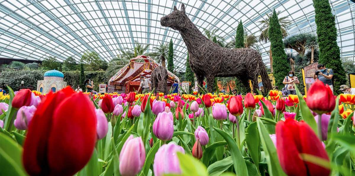 Gardens By The Bay Image