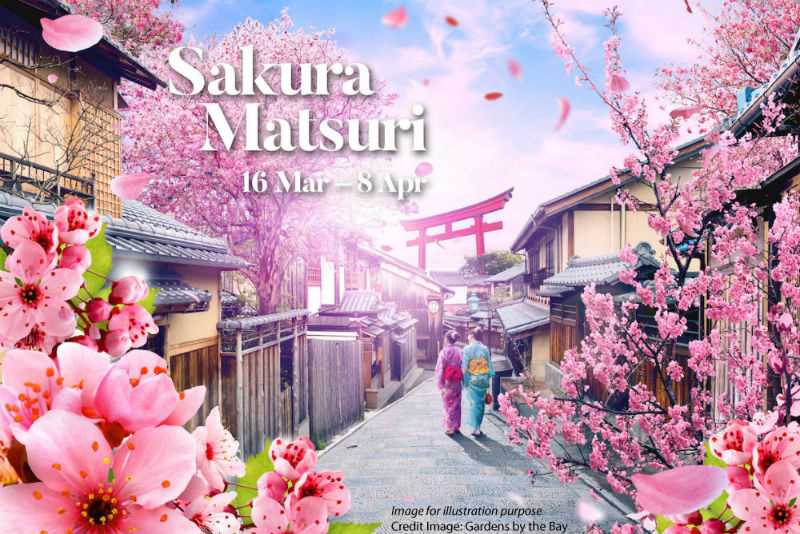 Sakura Matsuri Floral Display at Gardens by the Bay
