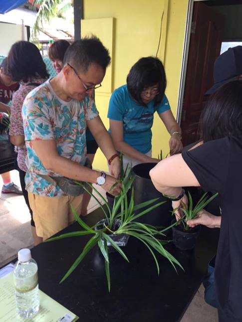 Planting potted plants at D'Kranji Farm Resort