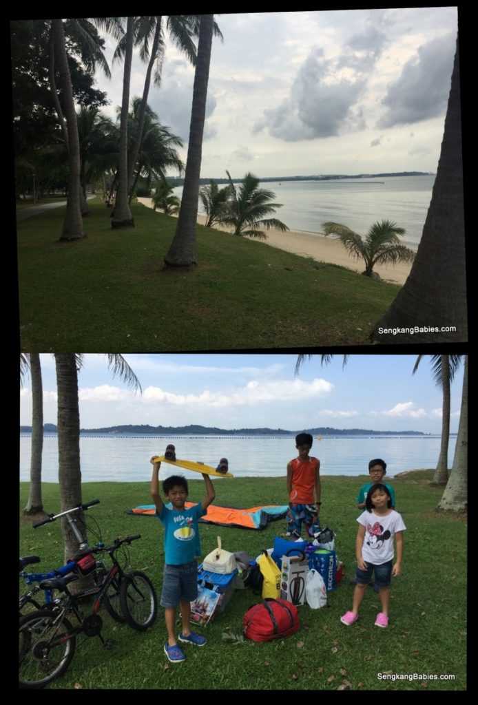 Sengkang Babies at Pasir Ris Park camp site