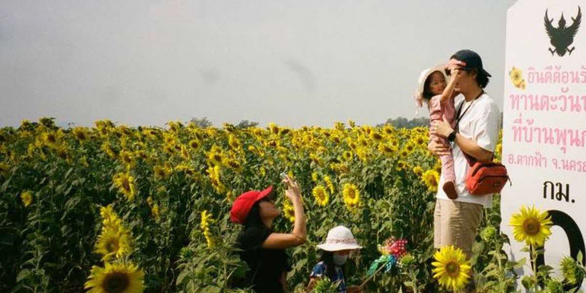 flower field parenthood